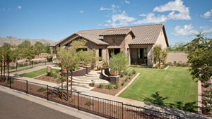 Toll Brothers - Toll Brothers at Verrado Photo