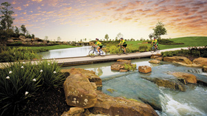 Toll Brothers - Cinco Ranch - Sycamore Meadow Photo