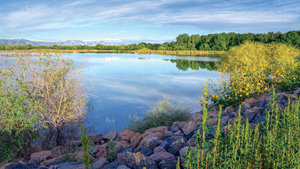 Toll Brothers - The Enclave at McKay Shores Photo
