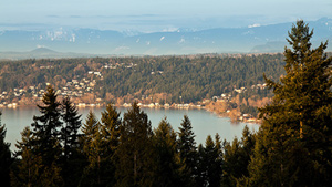 Toll Brothers - Lakemont Lane Photo