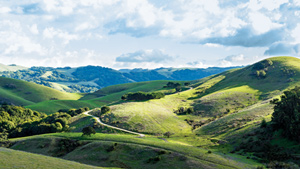 Click for more information Toll Brothers - Schaefer Ranch by Toll Brothers Photo