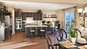 Toll Brothers - Savona Photo