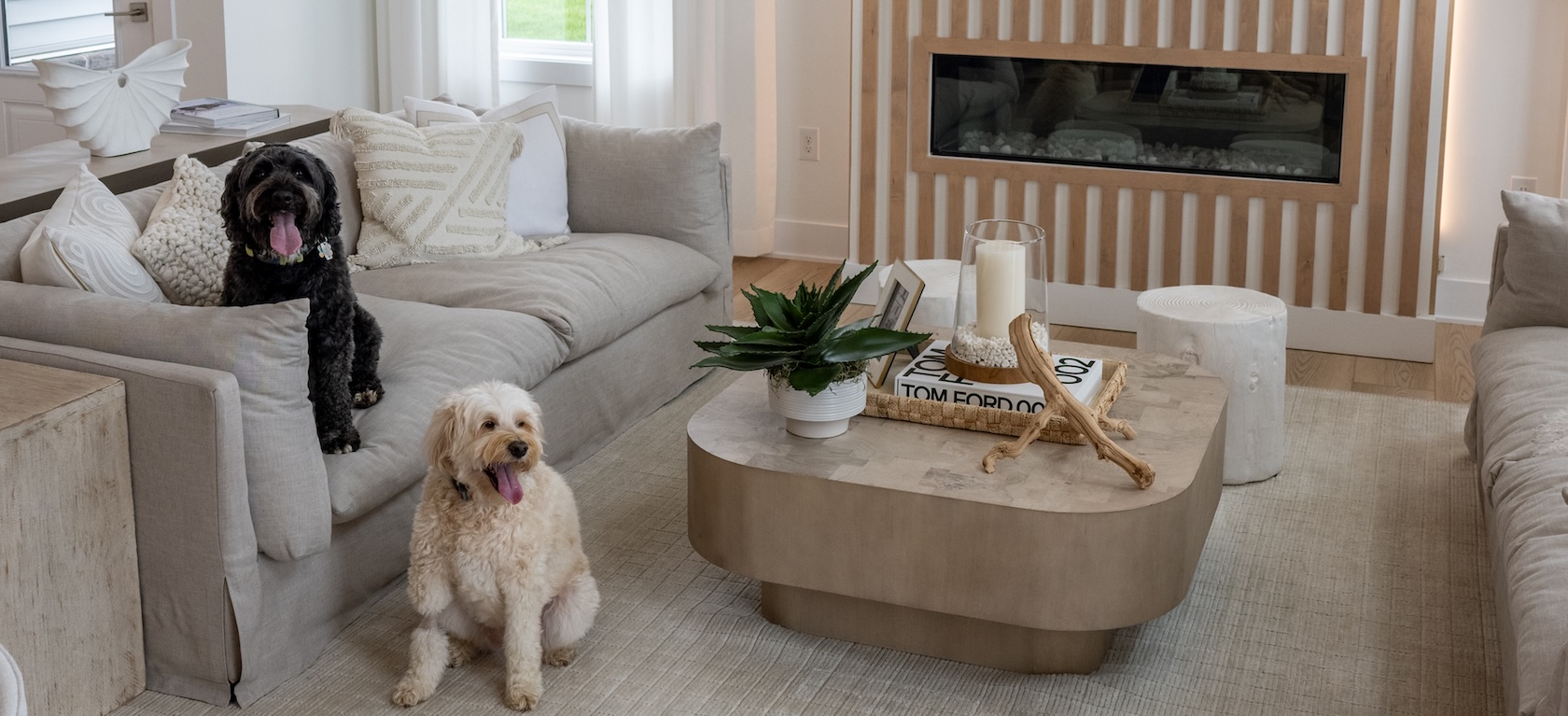 5 Ways to Create a Special Space for Your Pet featured image