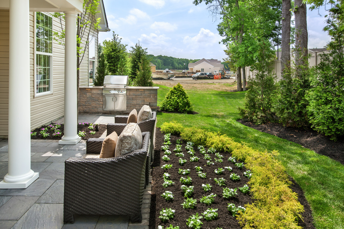 Backyard with garden