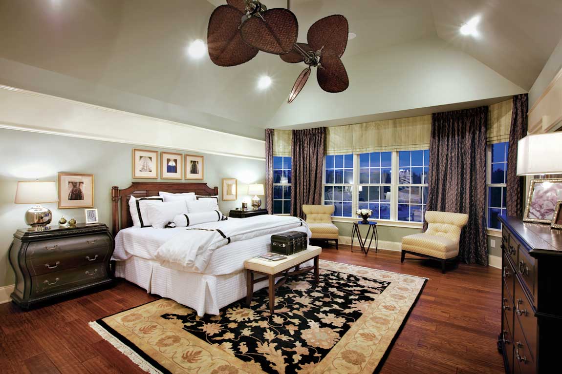 Dual leaf blade ceiling fan in bedroom