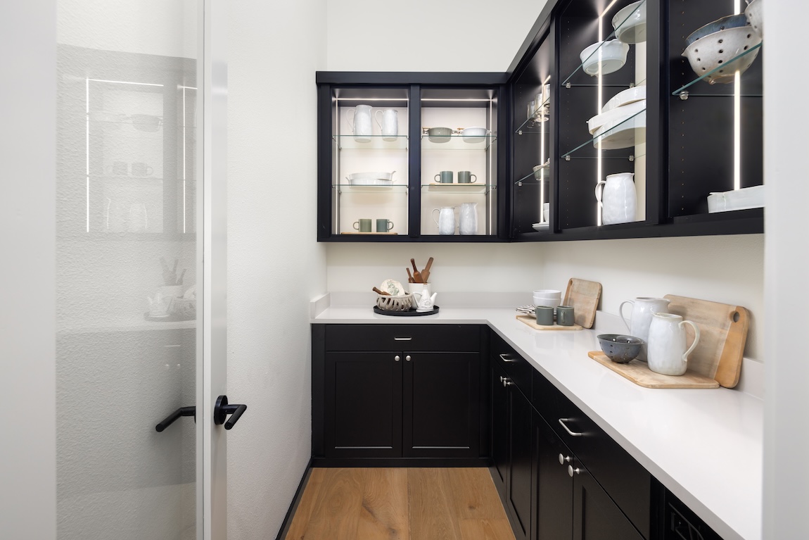 walk in pantry with storage space
