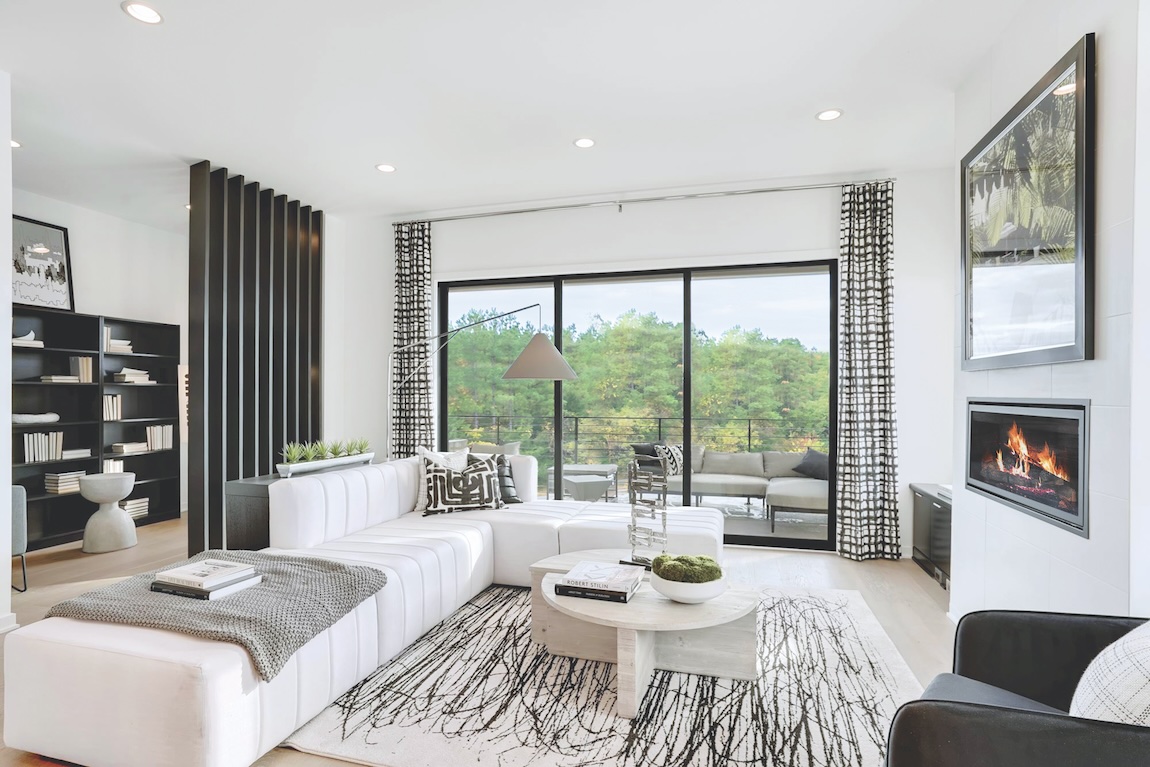 fireplace setting with bookshelves