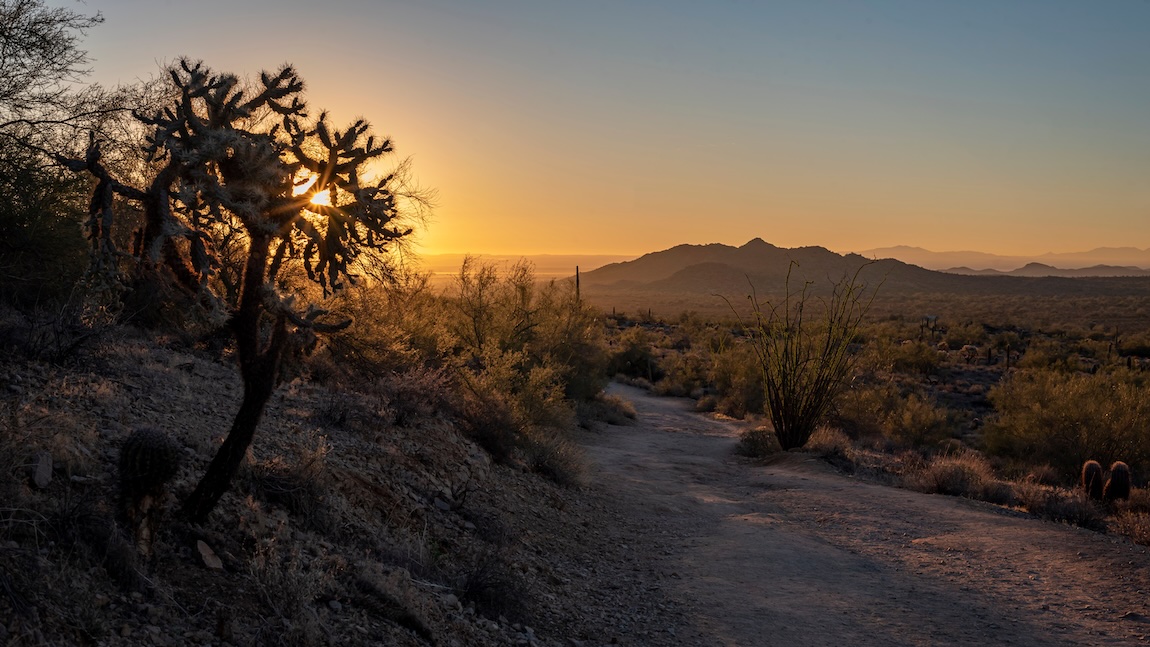 Hiking trail in Arizona