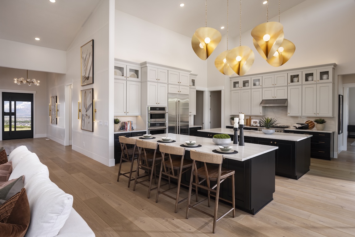 luxury kitchen with black cabinets