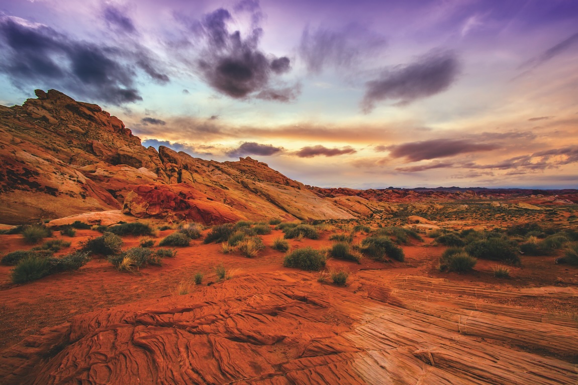 Mojave desert landscape