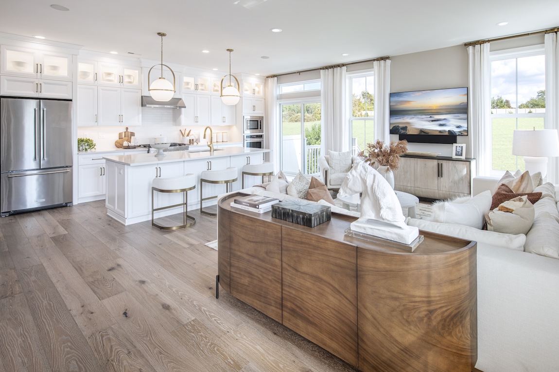 great room and kitchen space with white cabinetry and gold fixtures