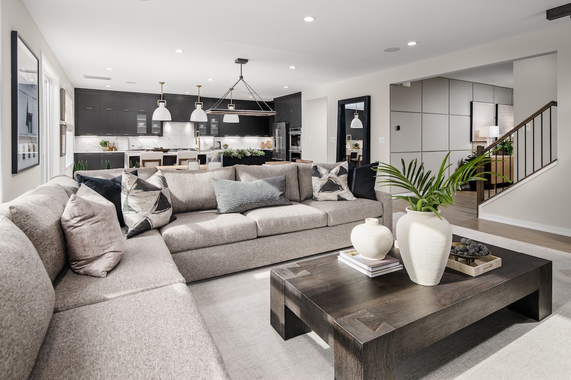 modern living room and kitchen space with gray and black color hues.