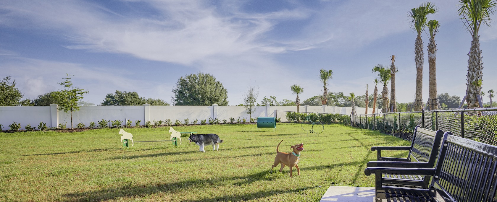 Pet-Friendly Communities: Designed for Every Member of Your Family featured image