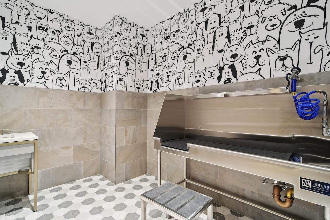 Dedicated pet spa with stainless steel dog wash station and playful dog-themed wall design.