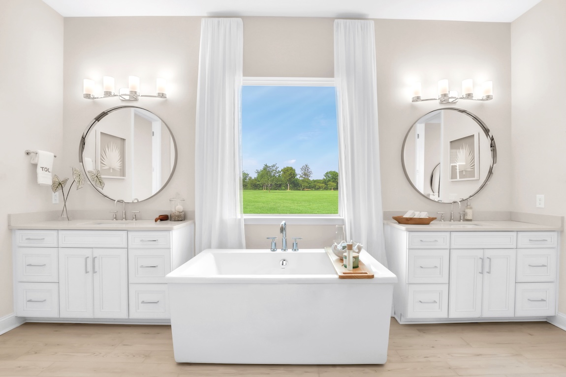 primary bathroom with freestanding tub.