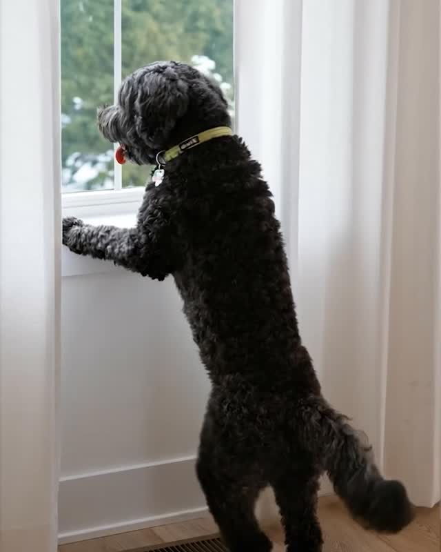 Toll Brothers Instagram post 2