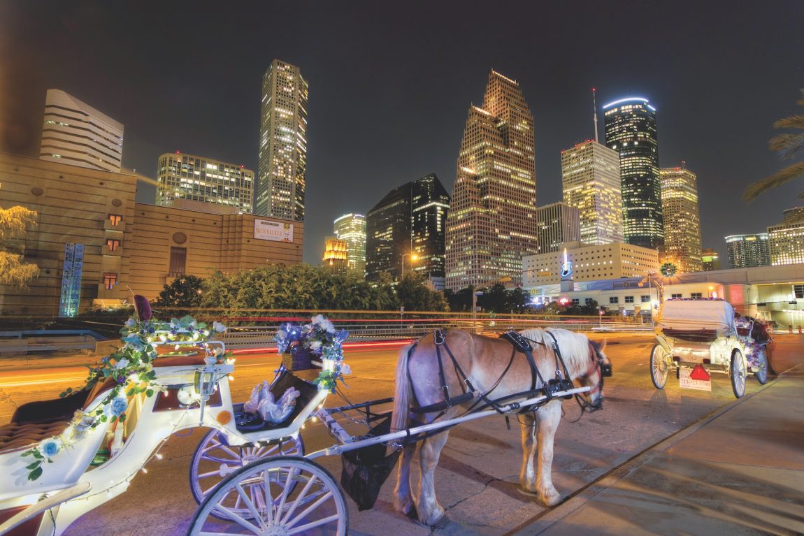 Carriage Ride with city backdrop