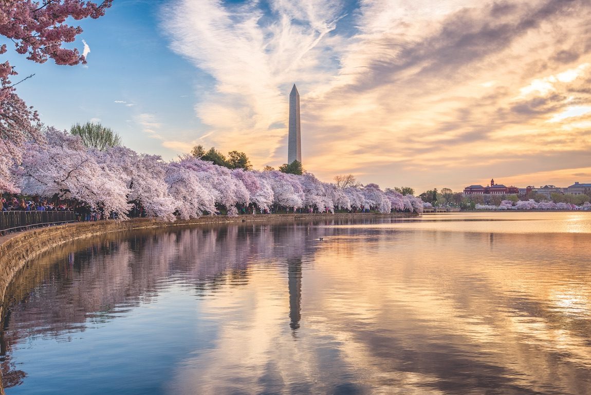 Washington Monument 