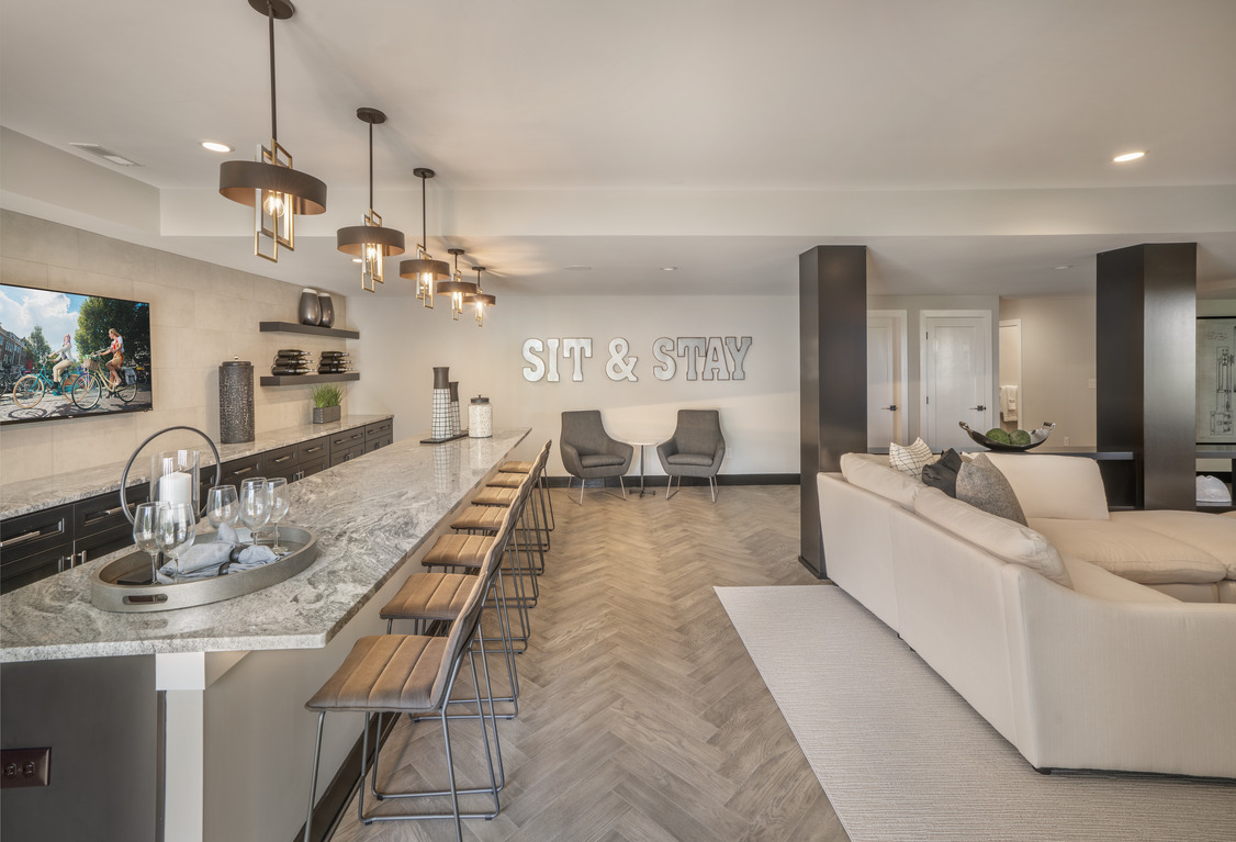 kitchen and sofa area in sleek basement