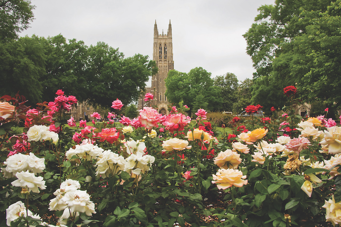 Duke university, thirty minutes north of North Hill, NC