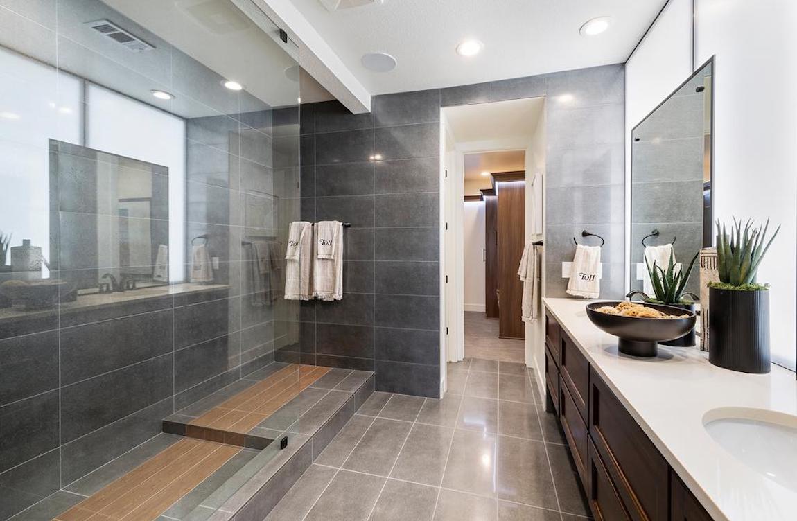 Luxe bathroom with walk-in doorless shower