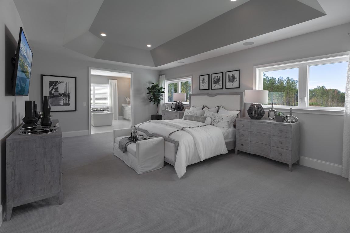 Expansive master bedroom with accent ceiling