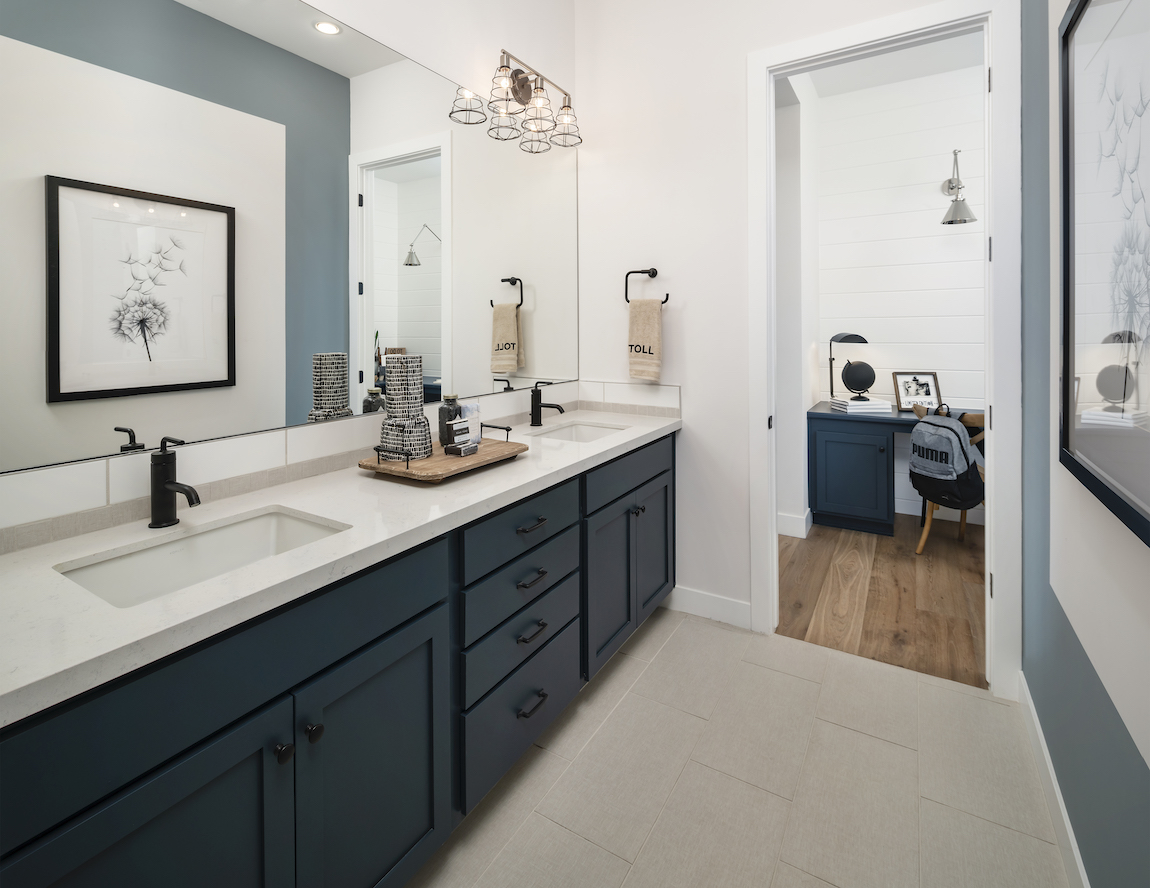 Luxe bathroom featuring Sherwin-Williams 2020 Color of the Year and other elegant hues