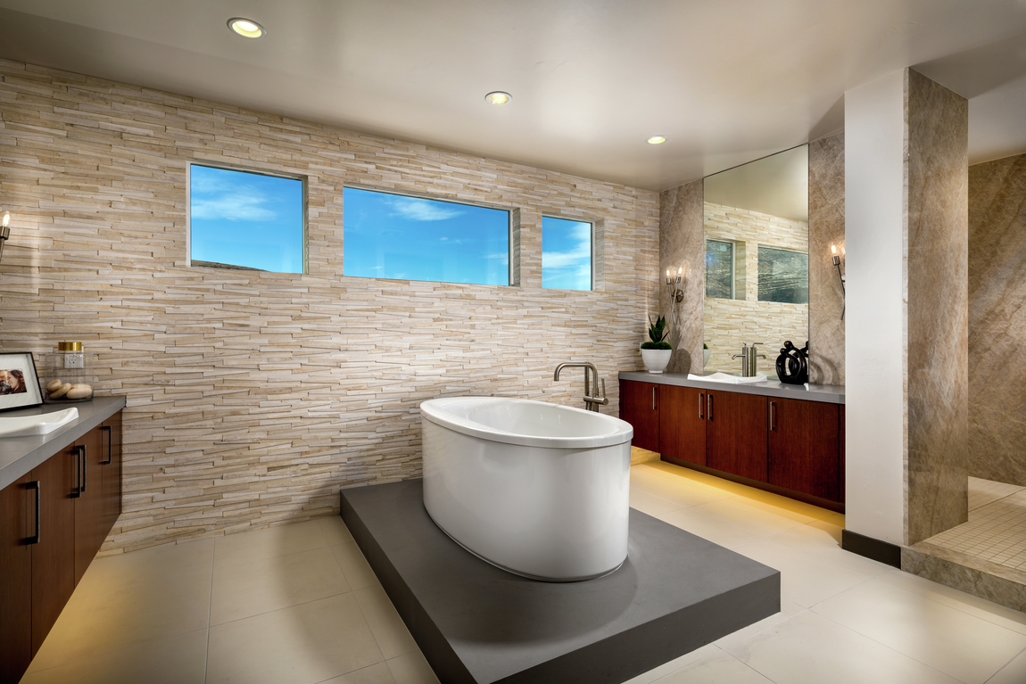 Elegant master bathroom