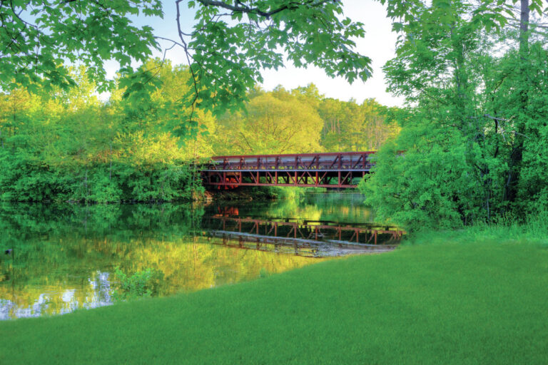 Living in Ann Arbor: A Perfect Blend of Culture and Outdoors  Build