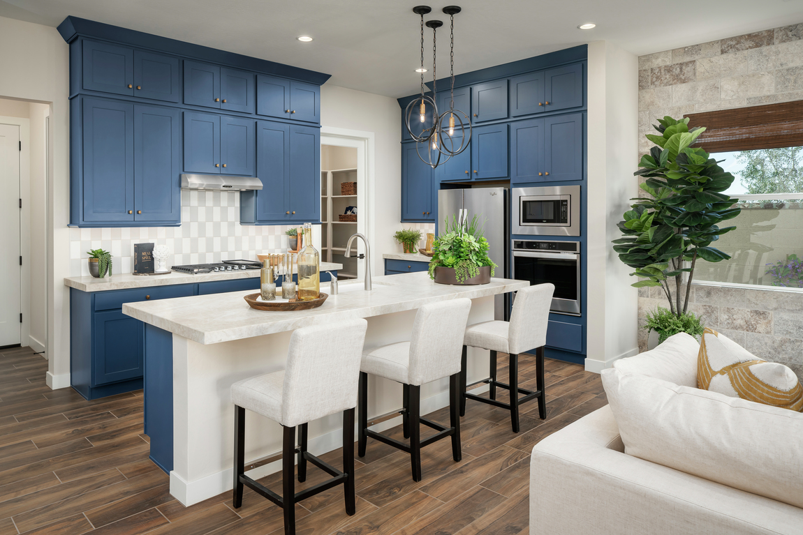 Stunning gourmet kitchen with blue cabinetry