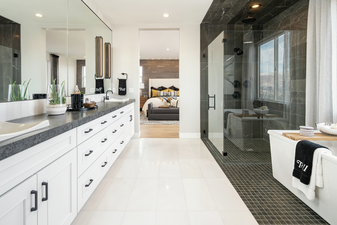 Bathroom in a primary suit with a contrasting black walk-in shower.