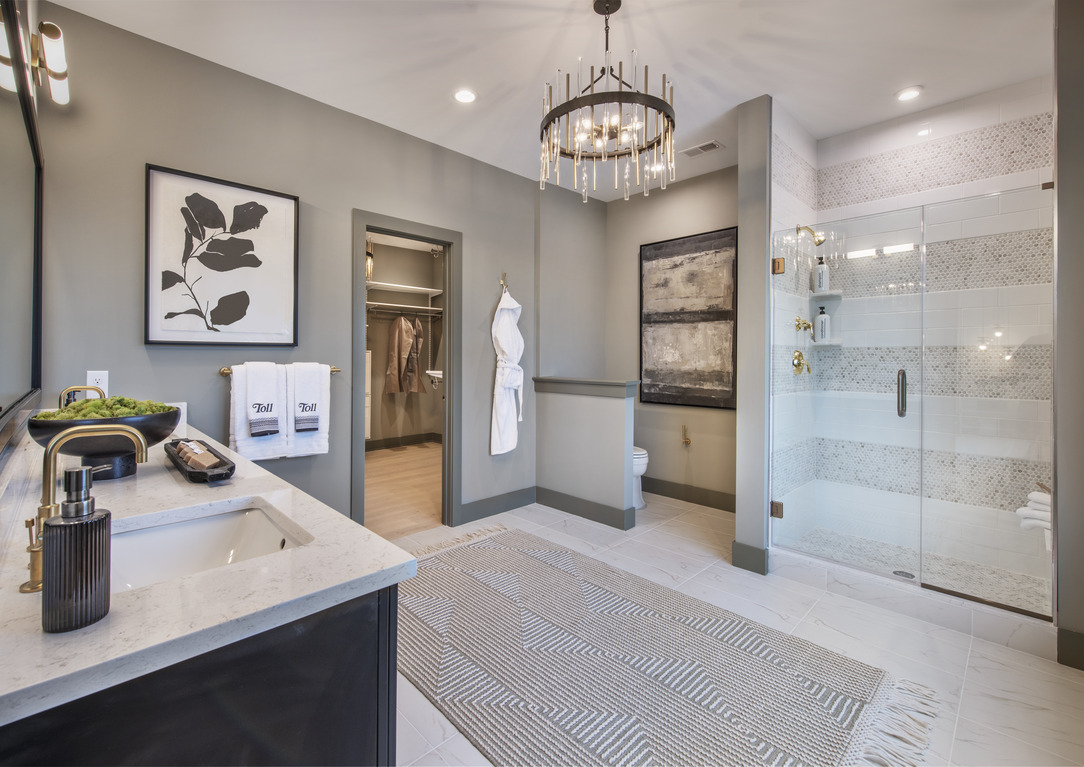 modern bathroom design with area rug