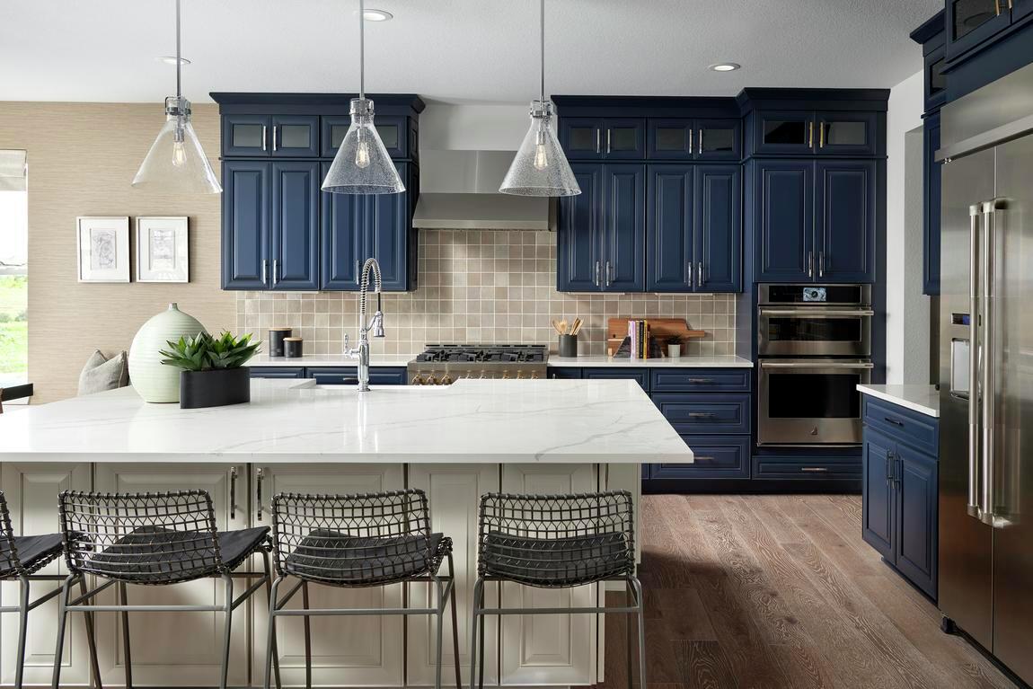 kitchen design with blue cabinetry