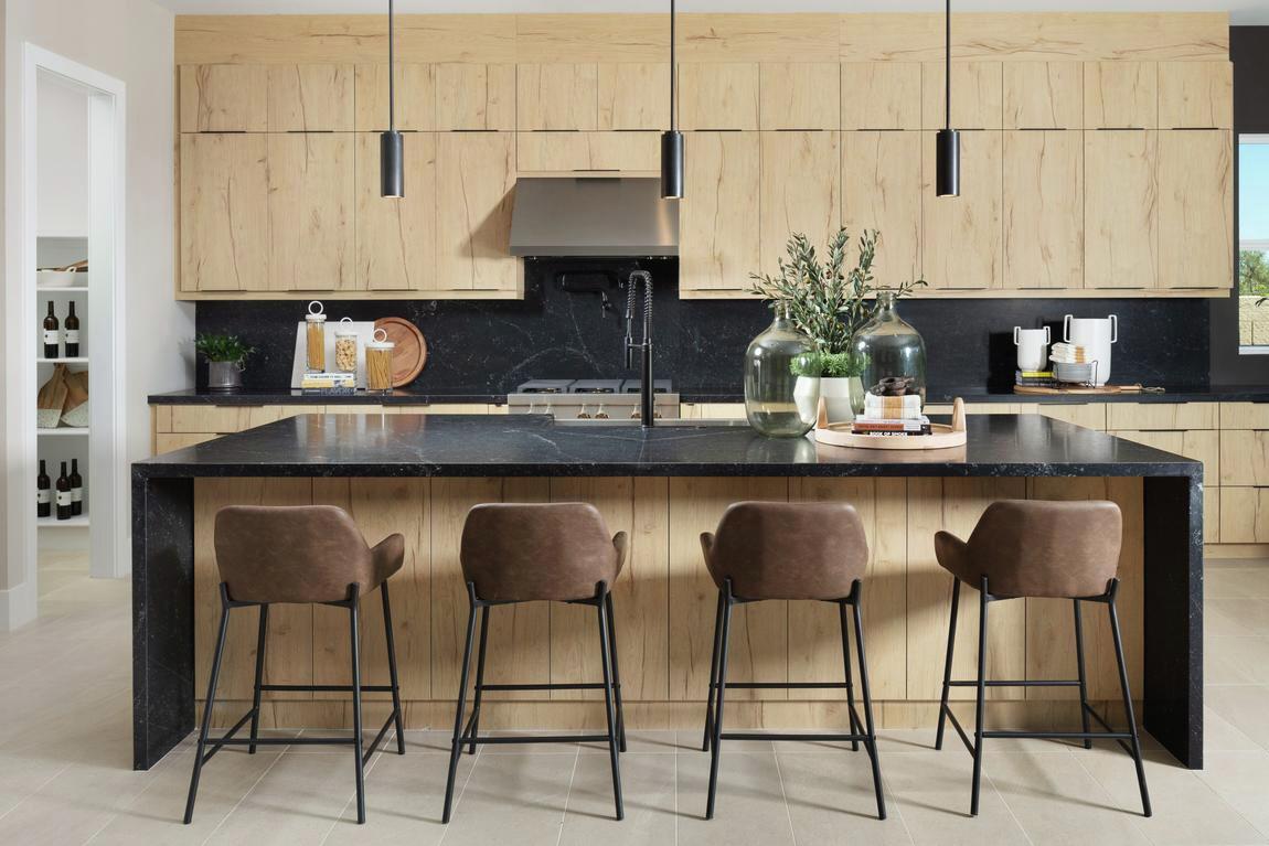 contemporary kitchen featuring sleek shaker cabinets