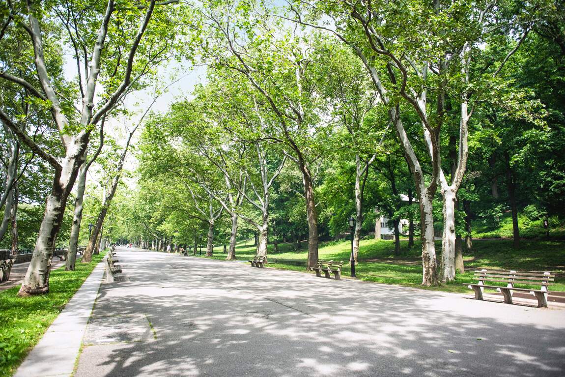 walkway in Ney York park