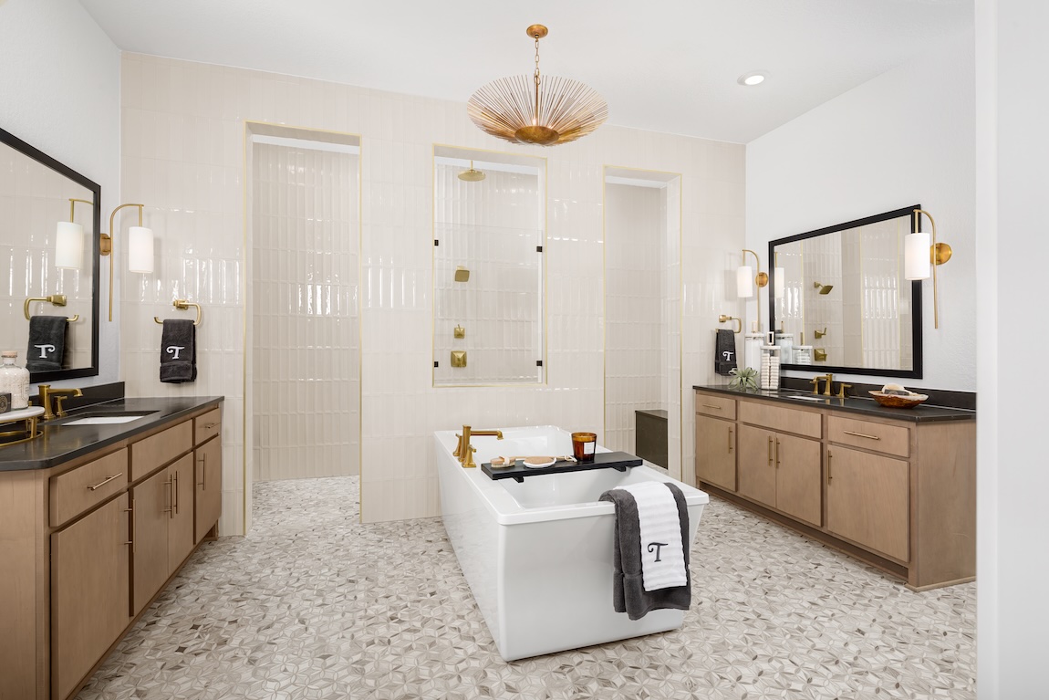 modern freestanding bathtub in the center of the bathroom