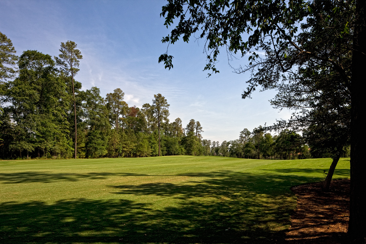 New Homes For Sale in The Woodlands, TX The Woodlands